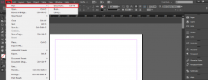 New Document in indesign